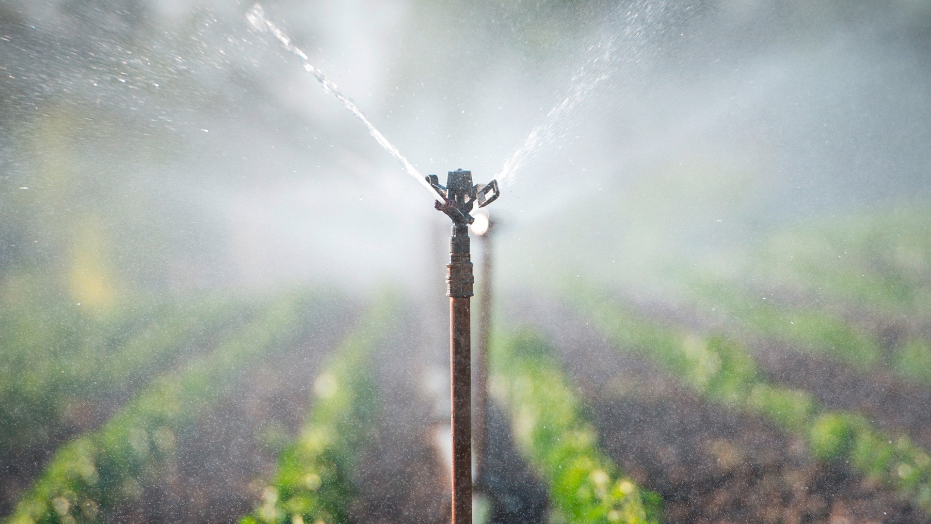 AVK products for irrigation application