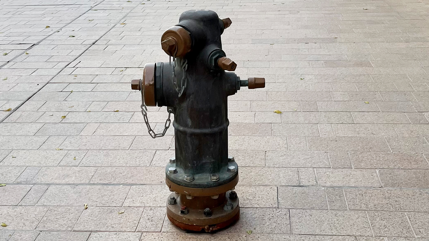 AVK hydrants decorating new downtown area - AVK India