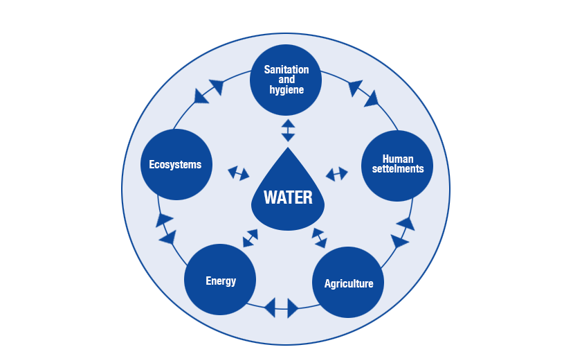 illustration of the water circle