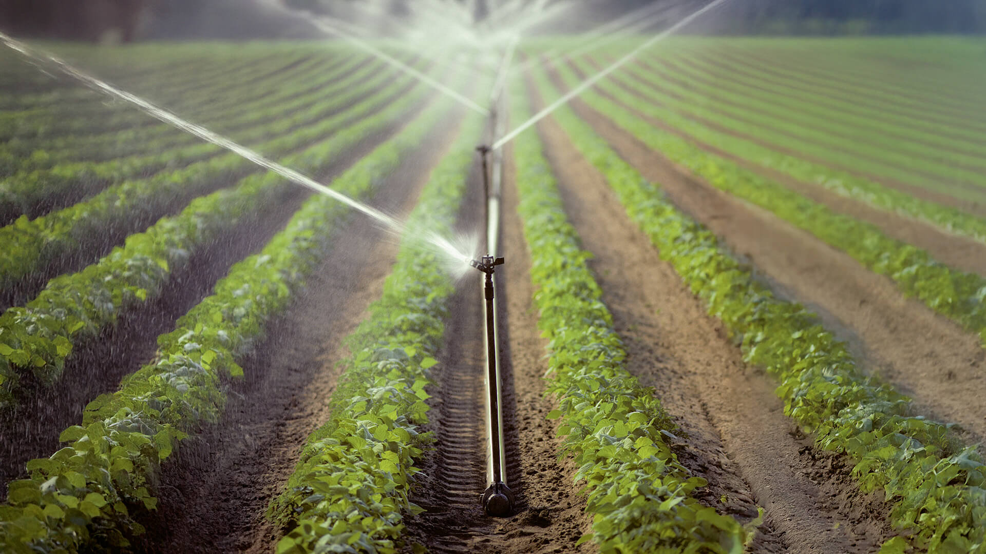 Irrigation Segment