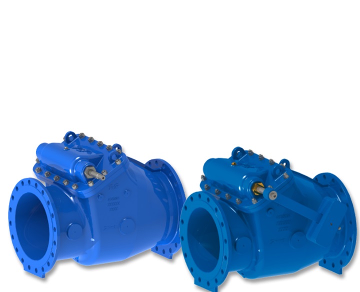 Check valves for water transmission