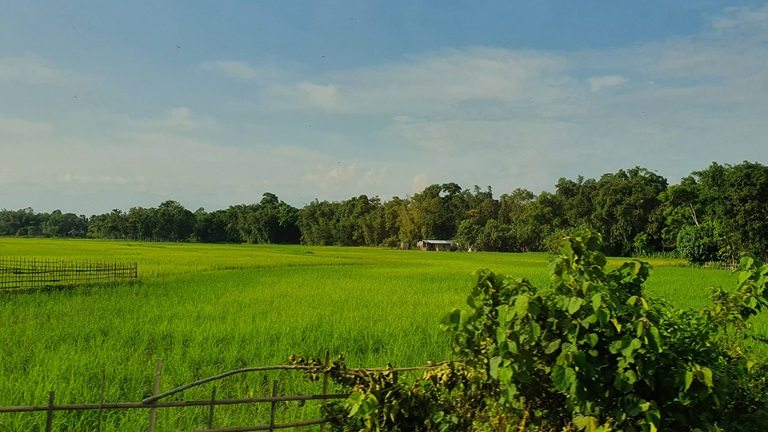 Irrigation